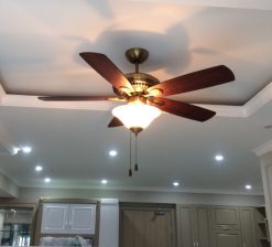 Quạt trần Organic Light - 5 cánh màu vân gỗ cao cấp anh quat tran royal organic light