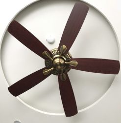 fan royal organic