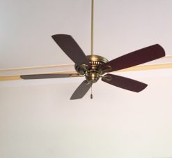 fan royal organic khong den 1