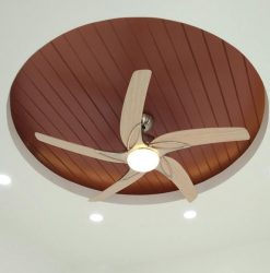 Quạt trần Spira ý tưởng thiết kế sao biển siêu mát hinh anh royal spira mau