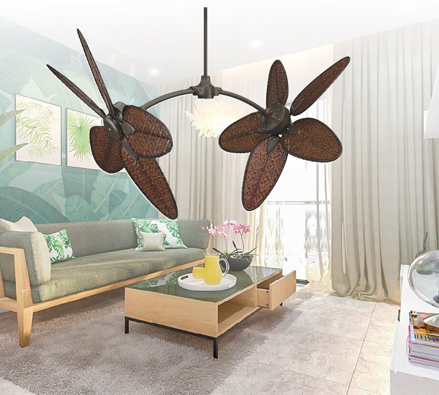 fanimation caruso 51