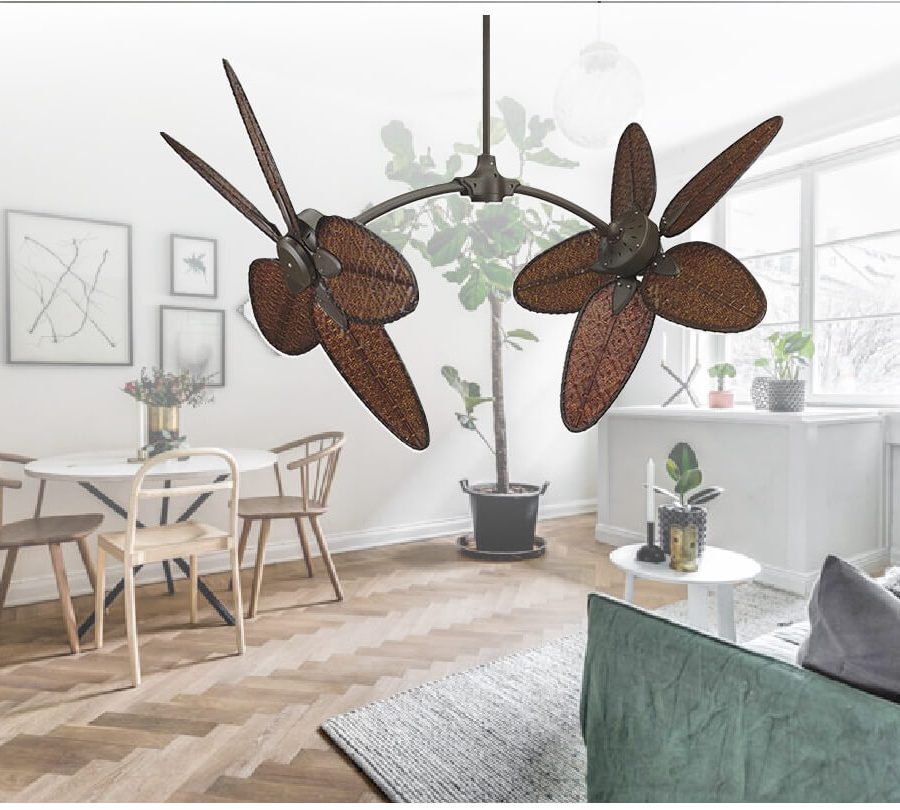 fanimation caruso 54