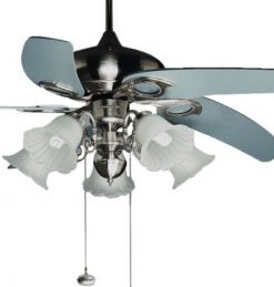 anh quat tran mountain air 52yft ff2