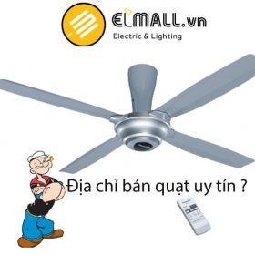 Địa chỉ bán quạt trần chất lượng cao uy tín tại Hà Nội